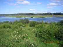 Näkymä lintutornista järvelle (KI 31.7.2020)