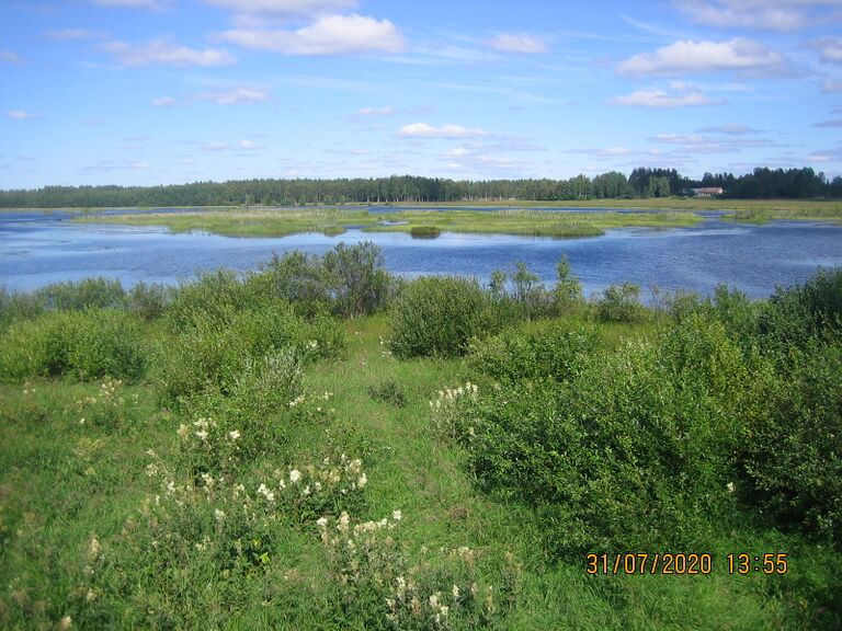 Saarelanjärvi lintutornista.JPG