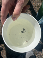 Seurasaari/Havaintopaikka 4