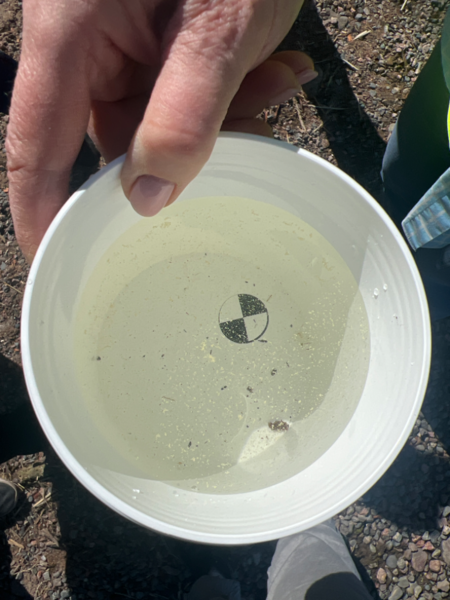 Tiedosto:Seurasaari-Havaintopaikka 4-ObsTURB-202305221003-646b23eb8ae8e.png