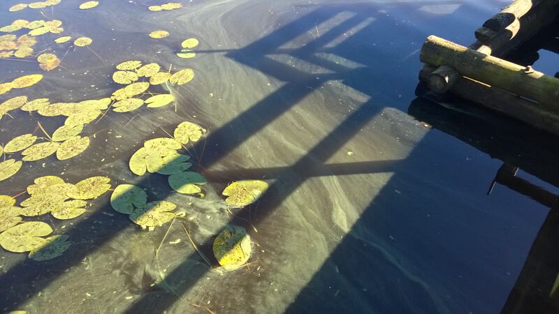 Tiedosto:WP 20150805 009.jpg