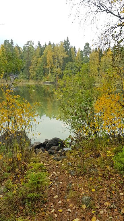 Höytämönjärvi (35.242.1.001)-Merunlahti vihreäpolku-ObsALG-202009241545-30.jpg