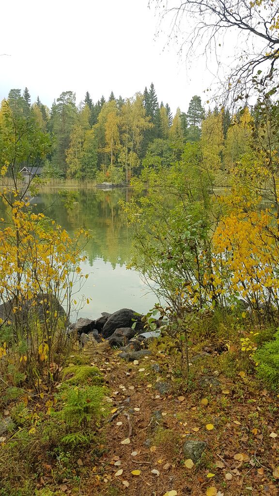 Höytämönjärvi (35.242.1.001)-Merunlahti vihreäpolku-ObsALG-202009241545-30.jpg