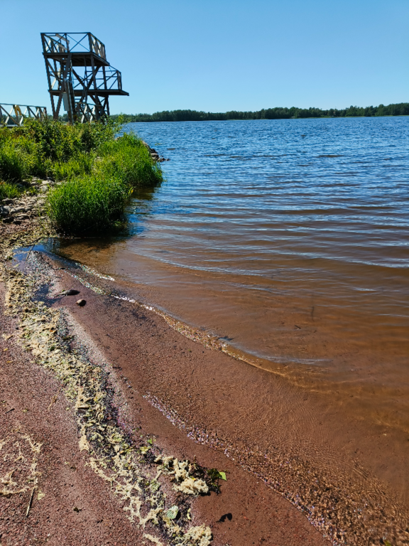 Köyliönjärvi (34.054.1.001)-Valtakunnallinen sinileväseuranta (Yttilän Otta)-ObsALG-202406251505-667ab2c6deb88.png