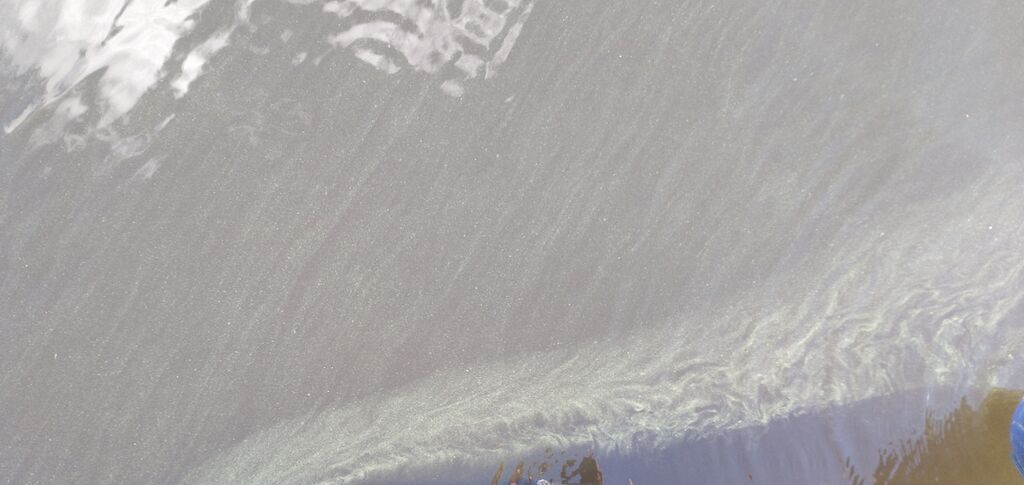 Kallavesi (yhd.)-Itkon saari-ObsIMG-202008291335-15.jpg