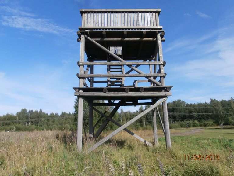 Karkkilan lintutorni.JPG