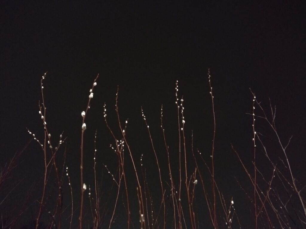 Mätäojan valuma-alue (81.051)-Kaarelan ratsastustallit-ObsIMG-201811231744-62.jpg