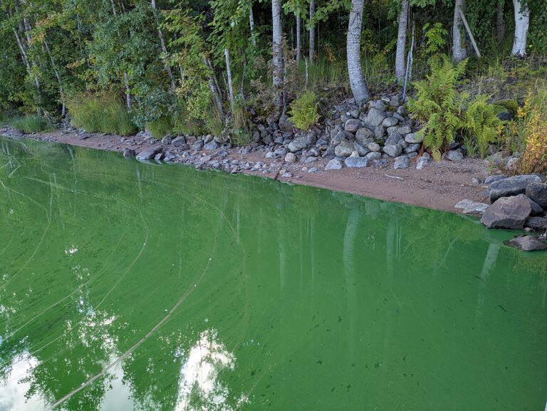 PXL 20250901 091747902.jpg