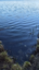 Vähä Tiilijärvi (14.244.1.004)-Lounaisranta-ObsALG-202605081941-1778258531548.png