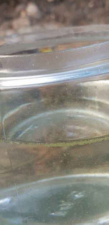 Eriksnäs 10072018.jpg