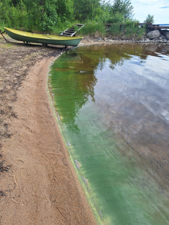 Havaintopaikka 2-ObsALG-202507021851-68655681e6849.png