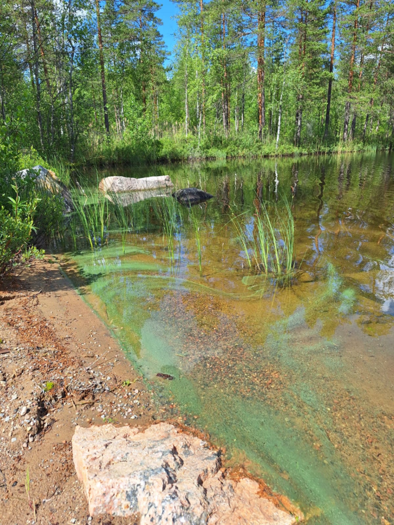 Juolasvesi - Sarkavesi (14.913.1.001)-Sammalranta-ObsIMG-202506291200-68642fe733b4b.png