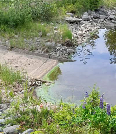 Kaltimon - Uimaharjun alue (04.342)-Kaltimon kanava, yläpuolen veneenlaskupaikka, Eno-ObsIMG-202507021345-6865806e884f0.png