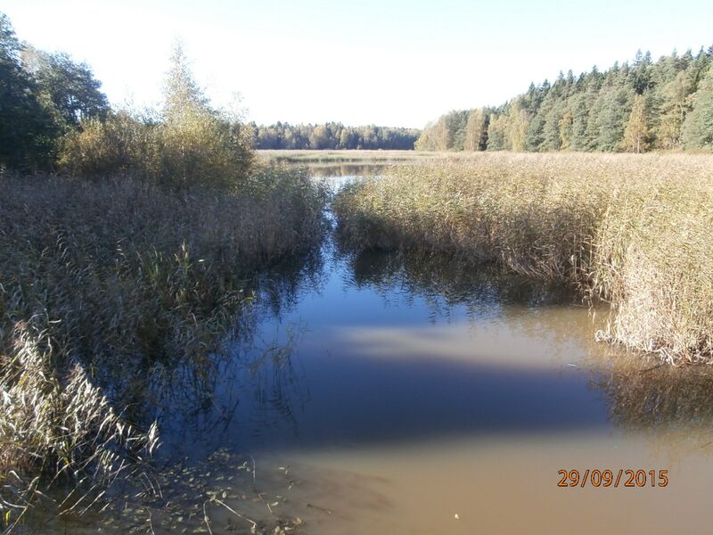 Tiedosto:Porvarinlahti 3.JPG