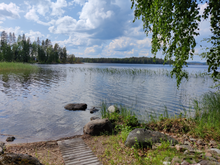 Saimaa (04.112.1.001)-Nuotniemi, Luonteri -ObsIMG-202306301508-649ec68e26afb.png