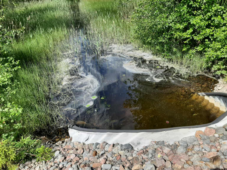 Suomijärvi (04.141.1.045)-Rotarien sinileväseuranta (Ahdassalmi)-ObsIMG-202306201220-649205cf5b47f.png