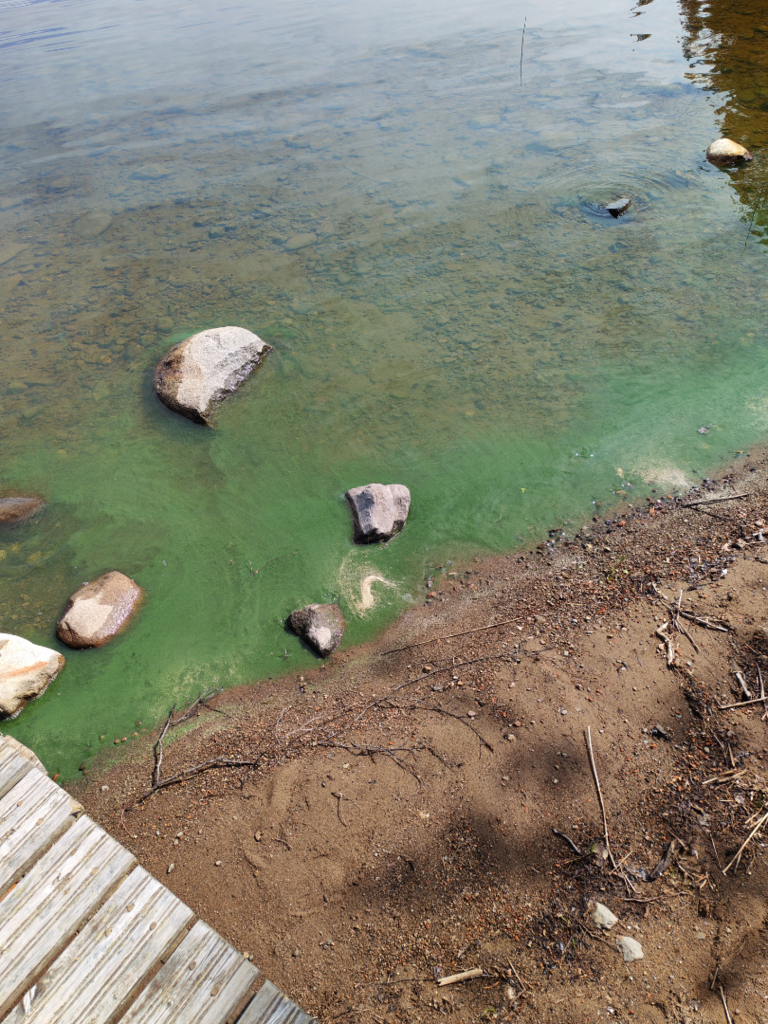 Haukiveden lähialue (04.211)-Havaintopaikka 1-ObsALG-202506281207-685fb1b3301dc.png