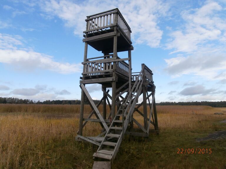 Kopparnasin lintutorni 2.JPG