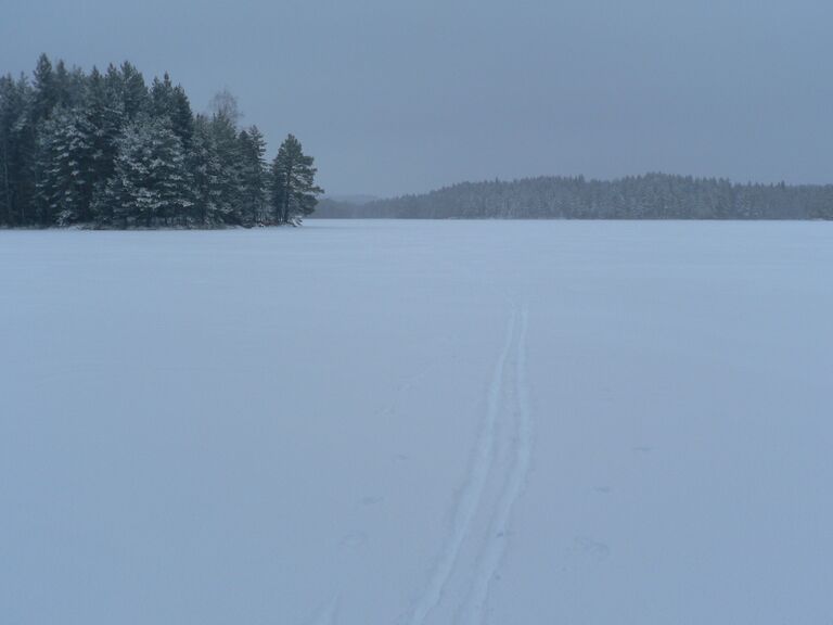 Talaslahdelta kohti Nikonniemeä.JPG