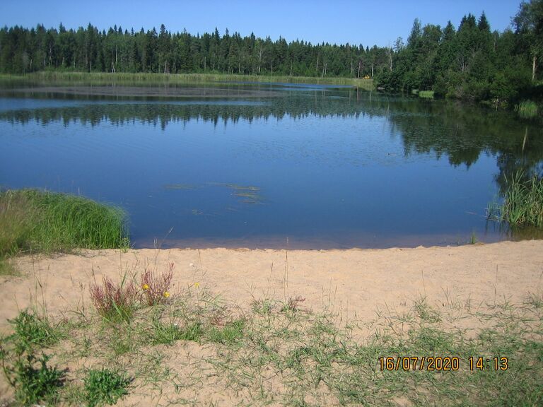 Jarvelanjarvi hiekkaranta.JPG