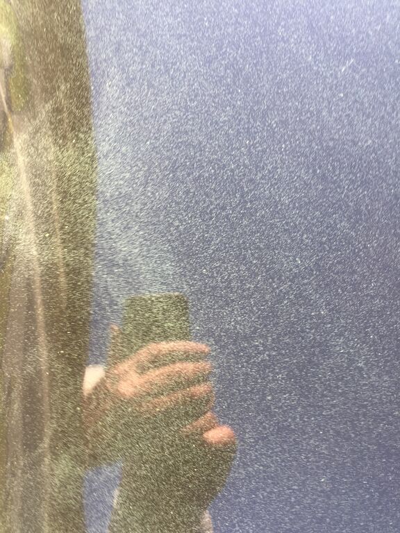 Kallavesi (yhd.)-Vaajasalo, eteläranta-ObsIMG-202008211846-58.jpg