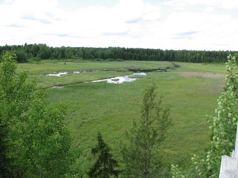 Tiedosto:Keskistenjarvi lintutornista.JPG