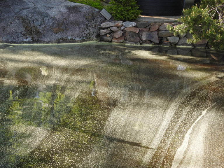 Konnevesi (14.711.1.001)-Rappaatlahti-ObsTRASH-202206102000-62a38a05212e3.png