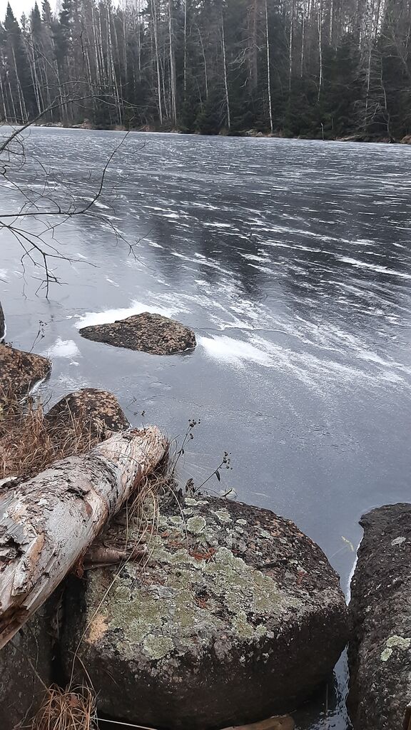 Kymöjärven - Kärnänjärven alue (14.471)-Kärnäjärvi, ruukinlahti-ObsICE-202012111610-87.jpg