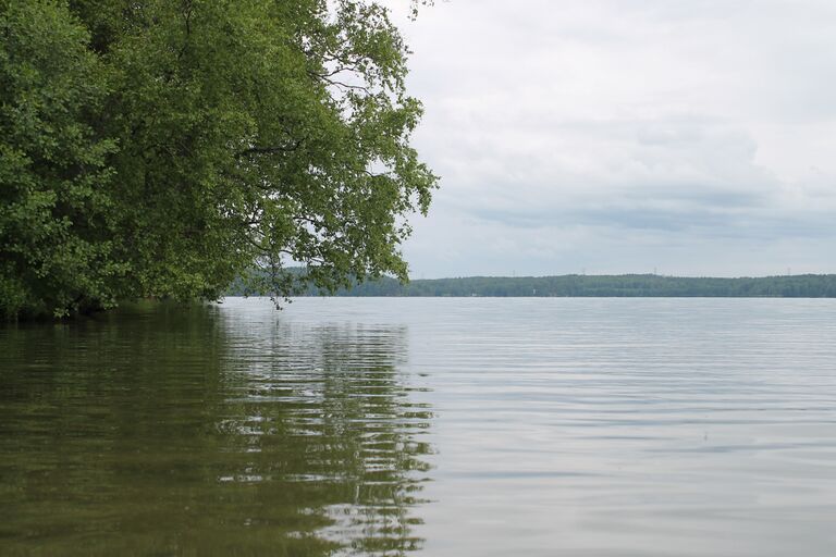 Vitträsk Luoma näkymä länteen.jpg