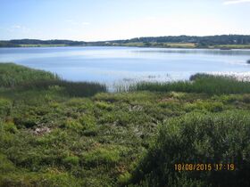 Aneriojarven lintutornista.JPG