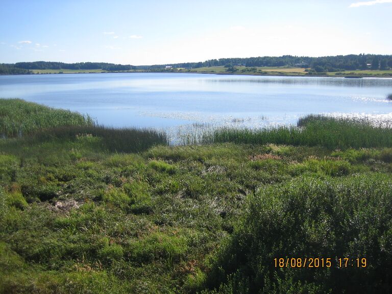 Aneriojarven lintutornista.JPG