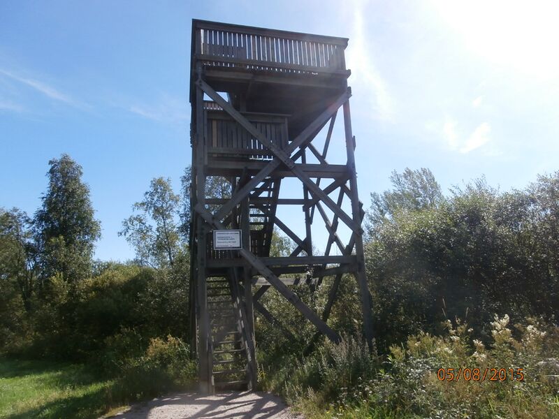 Tiedosto:Hameenkylan lintutorni.JPG