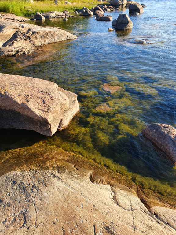 Keipsalo-Rotarien sinileväseuranta (Stora Småholmen)-ObsIMG-202107190720-60f4fe2a9112d.png