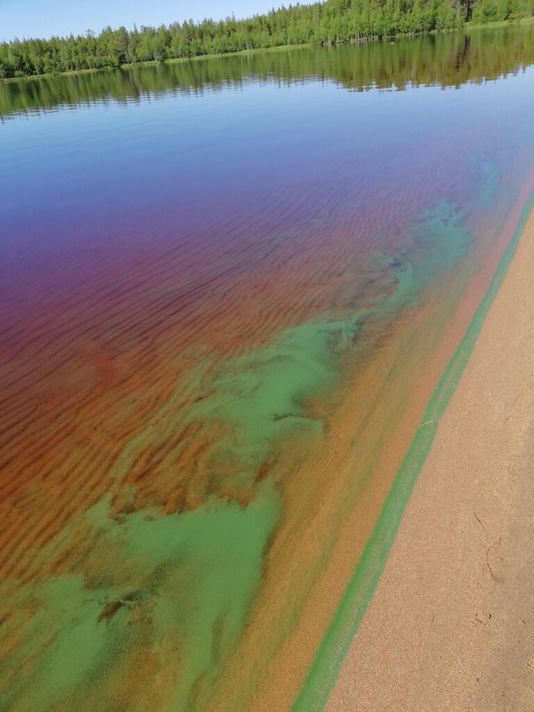 Kemijärvi (yhd.)-Haaparanta-ObsIMG-201807021200-19.jpg