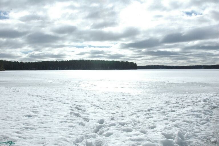 Luikonsaaren edusta keväällä 2011.jpg