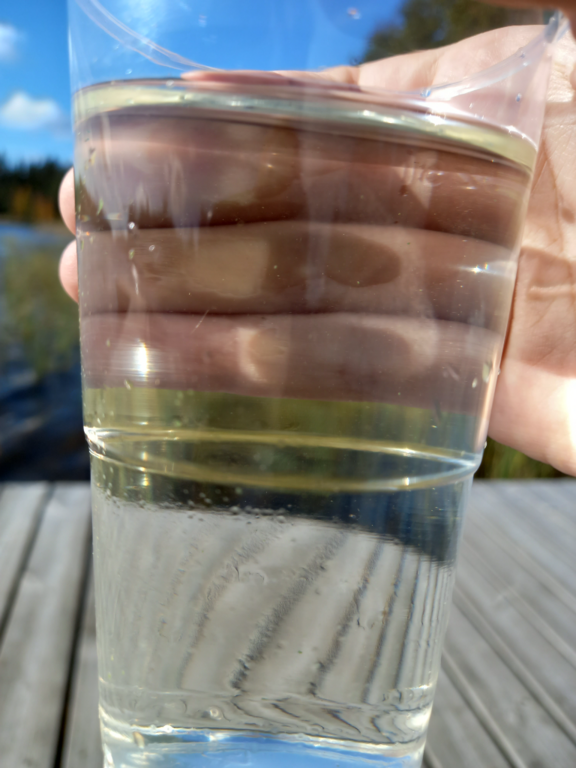 Pitkäjärvi (04.152.1.002)-Pitkäjärven uimaranta-ObsALG-202109281315-6152ec154bece.png