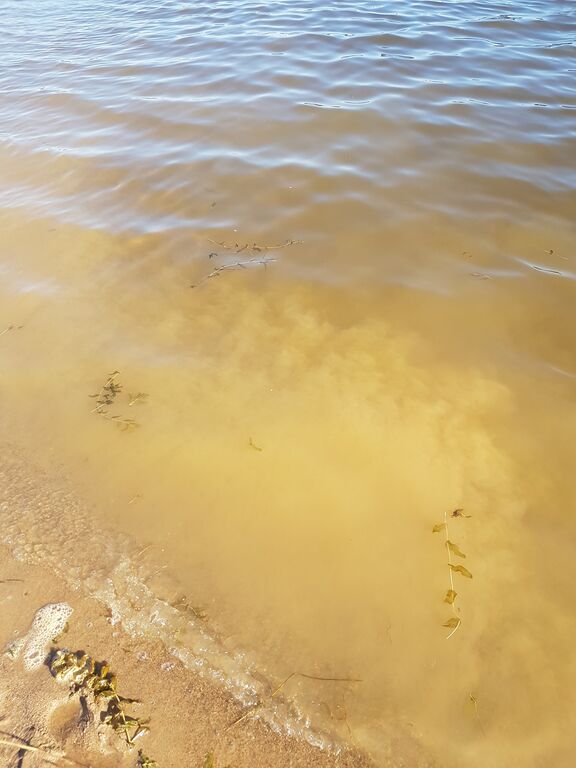 Raahen edusta-Pikkulahti-ObsALG-201807191800-14.jpg