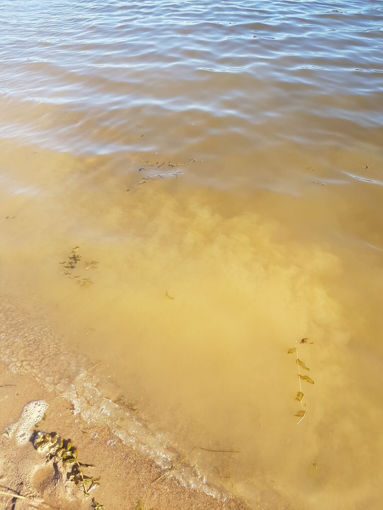 Raahen edusta-Pikkulahti-ObsALG-201807191800-14.jpg