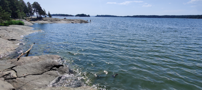 Tiedosto:Sipoon saaristo-Niemenapaja-ObsIMG-202306301405-649eb74b57e64.png