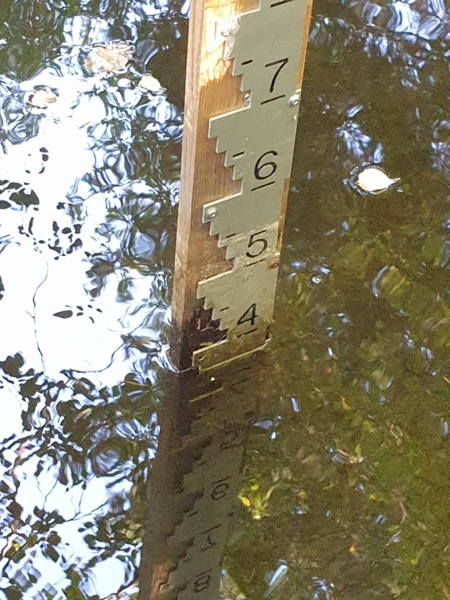 Tiedosto:Urpolanjoen valuma-alue (04.152)-Urpolan aarimaan puistoväylän silta-ObsIMG-202409071003-66dbfb0f200f3.png