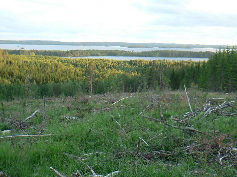 Usinmäen rinteeltä 007.jpg