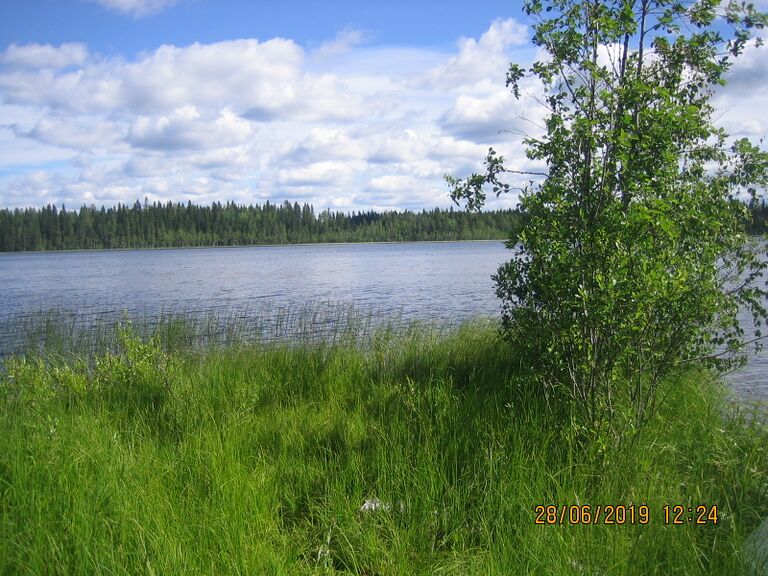 Viitajarvi venepaikka.JPG