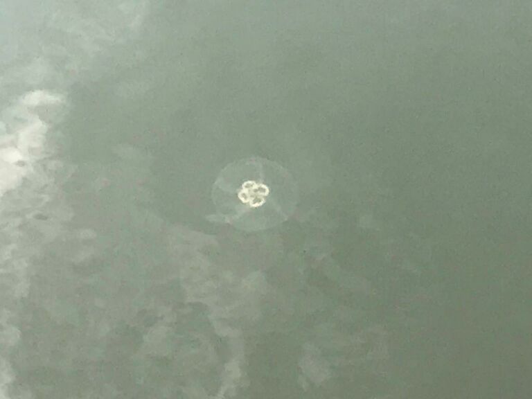 Box-Lönndalintien rannalla-ObsIMG-201909281530-88.jpeg