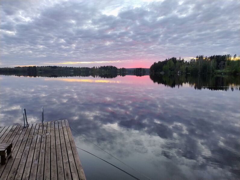 Tiedosto:IMG 20250517 220854895 AE.jpg