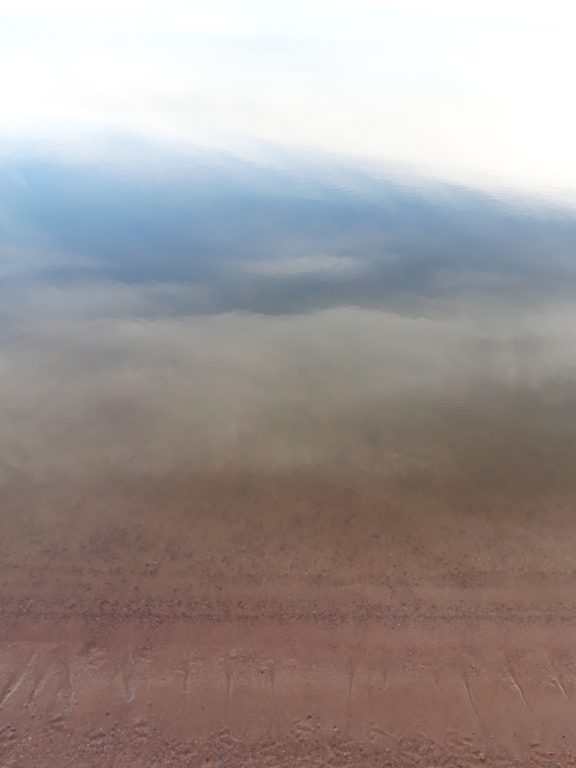 Köyliönjärvi (34.054.1.001)-Valtakunnallinen sinileväseuranta (Yttilän Otta)-ObsALG-202208230728-630457a66b5c5.png