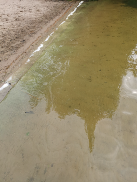 Tiedosto:Kiesimä (14.761.1.001)-Havaintopaikka 4-ObsALG-202507021627-686534cc1f3ba.png