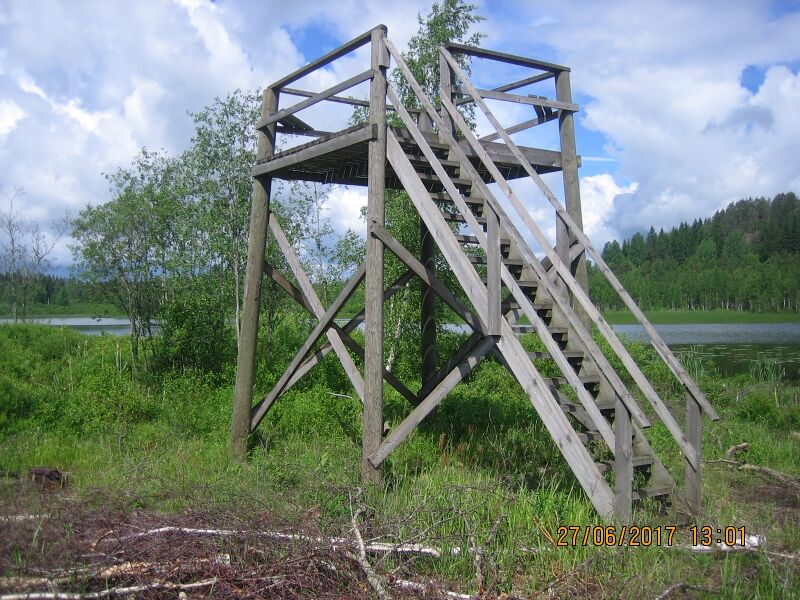 Tiedosto:Kotijarven lintutorni.JPG