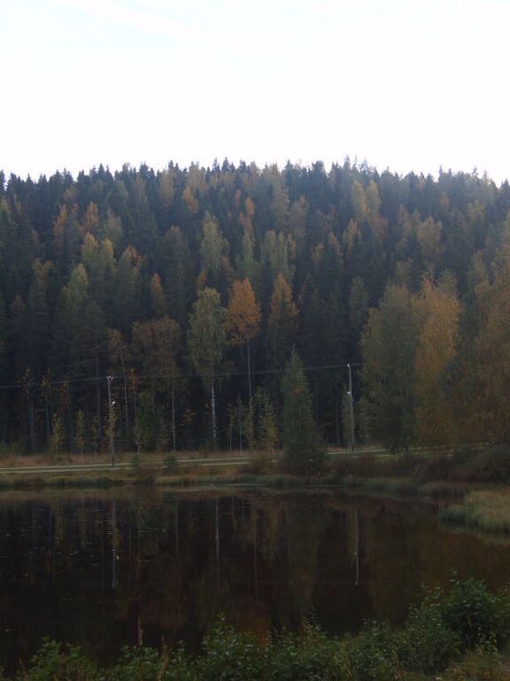 Yhtä & toista 323.jpg