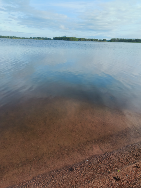 Köyliönjärvi (34.054.1.001)-Valtakunnallinen sinileväseuranta (Yttilän Otta)-ObsALG-202507300824-1753853256479.png