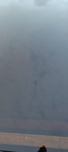 Kikurinjärvi (35.289.1.008)-Rotarien sinileväseuranta-ObsIMG-202606162250-1781639543788.png